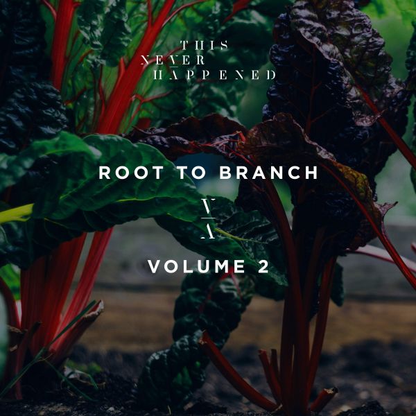 Fichier:Various Artists - 2018 - Root To Branch (Volume 2).jpg